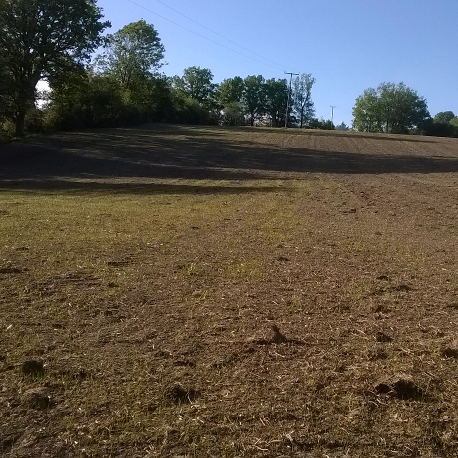 Foxley Farm Foxley Farm Supplies